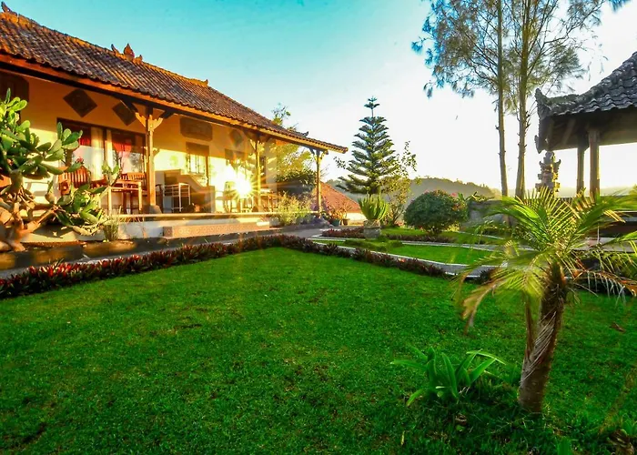 Mapa View